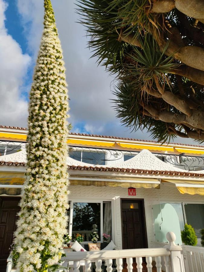 Apartamento Teide & Mar Vistas Tacoronte Exterior foto